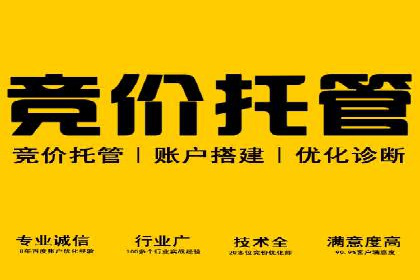 百度竞价赚钱攻略：实战案例分享